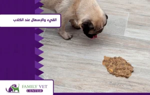 diseases of dogs and cats