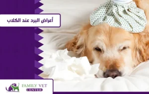 أعراض البرد عند الكلاب