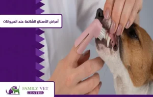 خدمة الجراحة وطب الأسنان للحيوانات