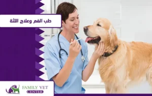 خدمة الجراحة وطب الأسنان للحيوانات