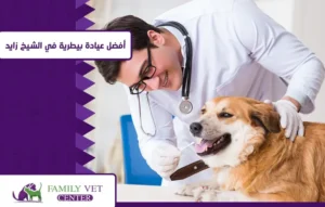 عيادة بيطرية في الشيخ زايد
