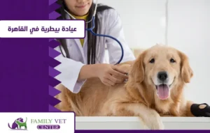 عيادة بيطرية