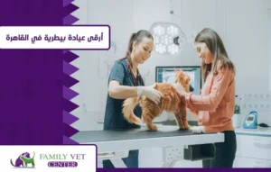 عيادة بيطرية