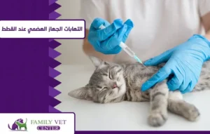 علاج التهابات الجهاز الهضمي عند القطط